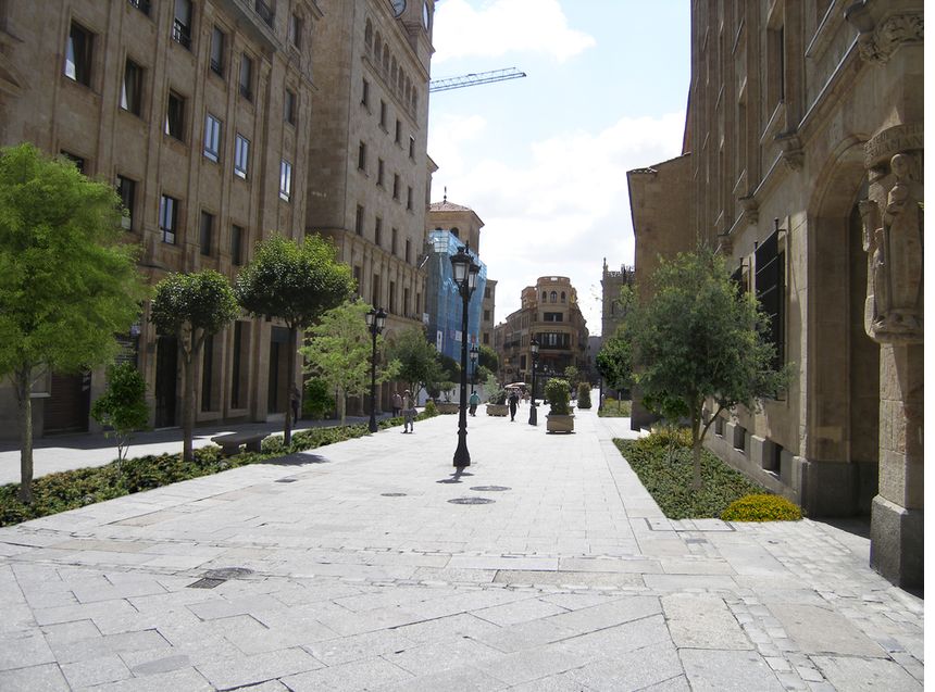 Se pone en marcha el proyecto LIFE Va de la Plata que crear un corredor verde de 6,9 kilmetros en Salamanca